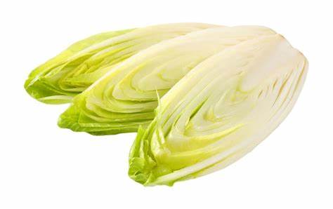 000131 ENDIVE BELGIAN FRESH