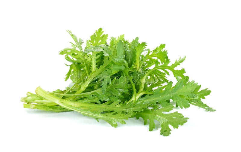 000134 GARLAND CHRYSANTHEMUM FRESH