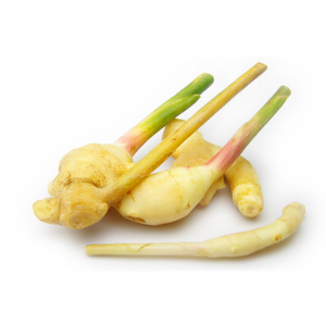 000137 GINGER YOUNG (HAJIKAMI) FRESH