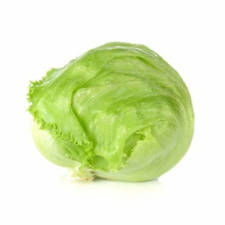 000141 LETTUCE ICEBERG FRESH