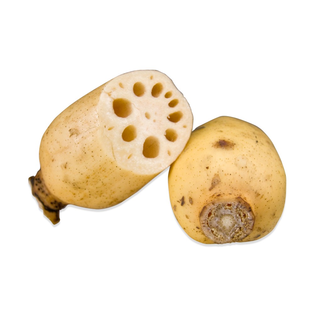 000145 LOTUS ROOT FRESH