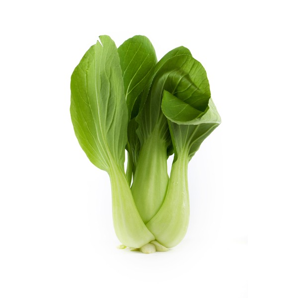 000161 PAC CHOI FRESH