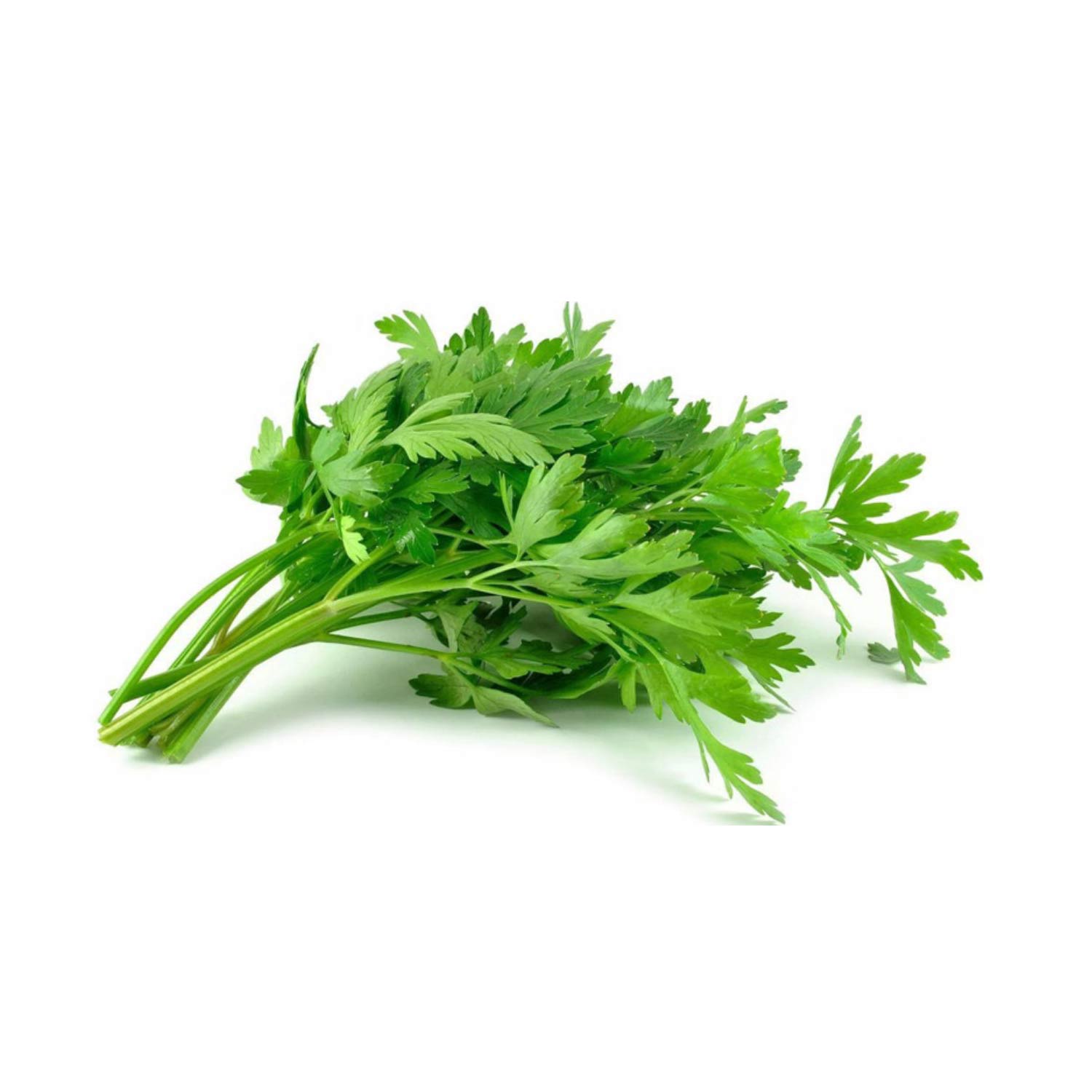 000162 PARSLEY FRESH