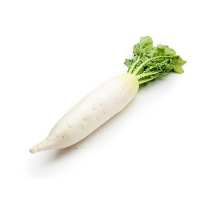 000176 RIDGE GOURD INDIAN (TURAI)
