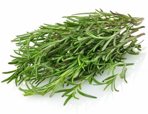 000177 ROSEMARY FRESH