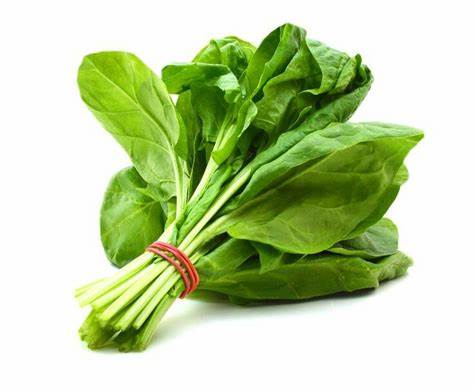 000182 SPINACH FRESH
