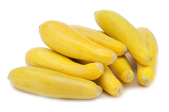 000183 SQUASH YELLOW