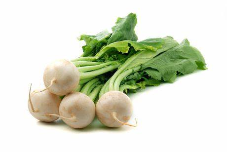 000190 TURNIP WHITE ROUND FRESH