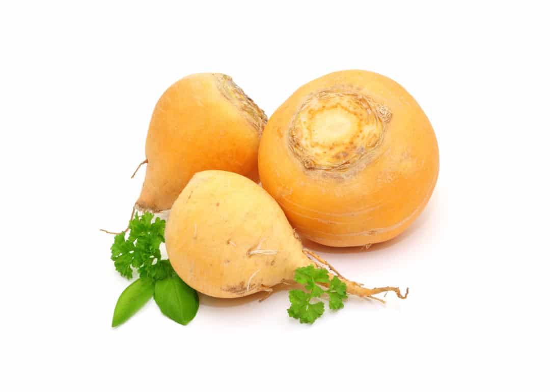 000191 TURNIP YELLOW FRESH