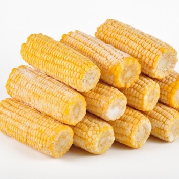 000324 CORN ON COB FROZEN