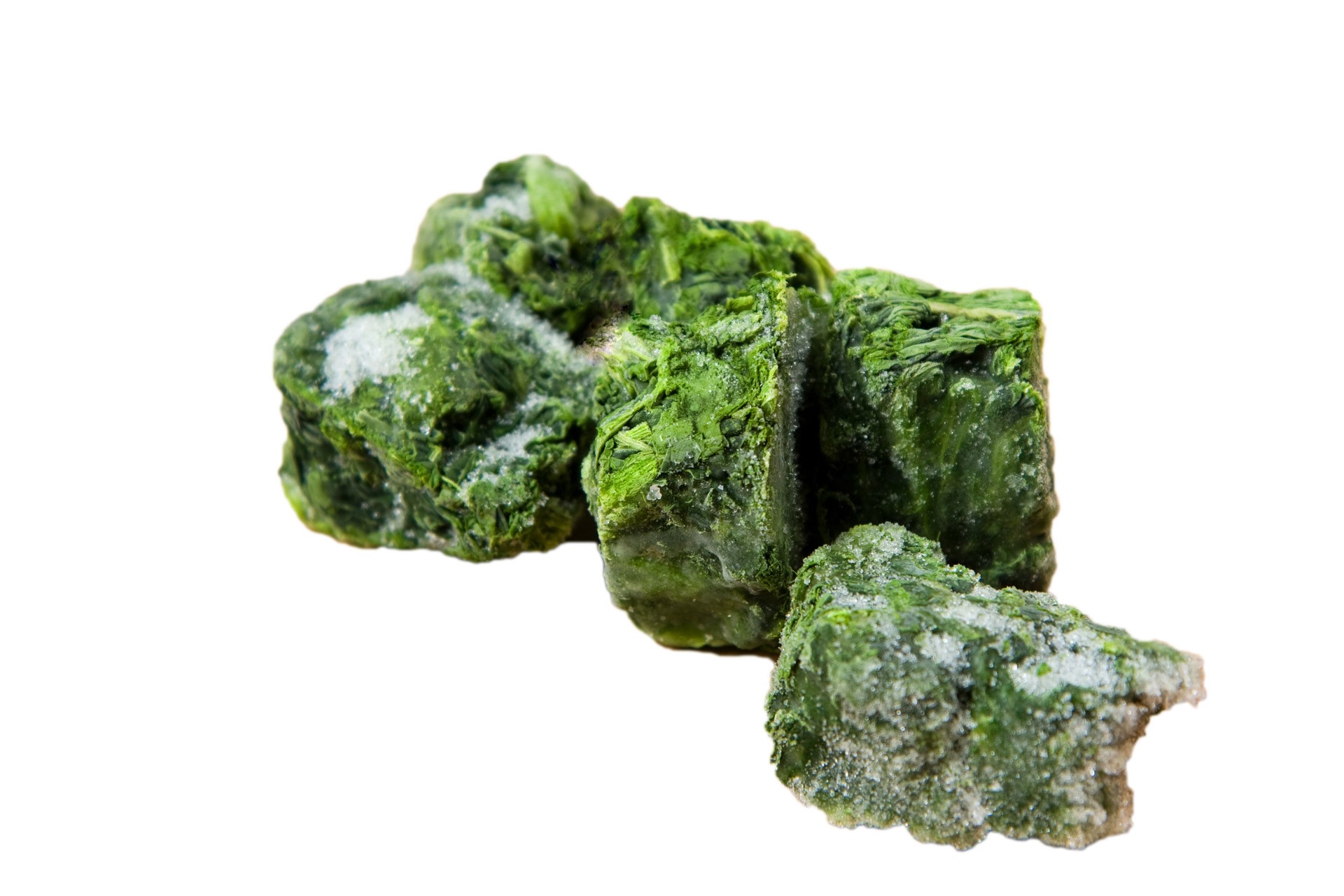 000348 SPINACH FROZEN