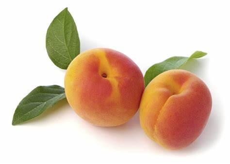 000515 APRICOT FRESH