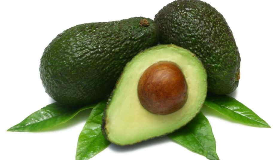 000517 AVOCADO FRESH