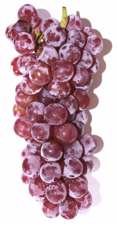 000527 GRAPE DELAWARE FRESH
