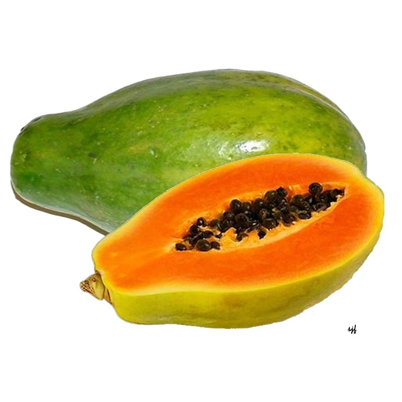 000558 PAPAYA FRESH