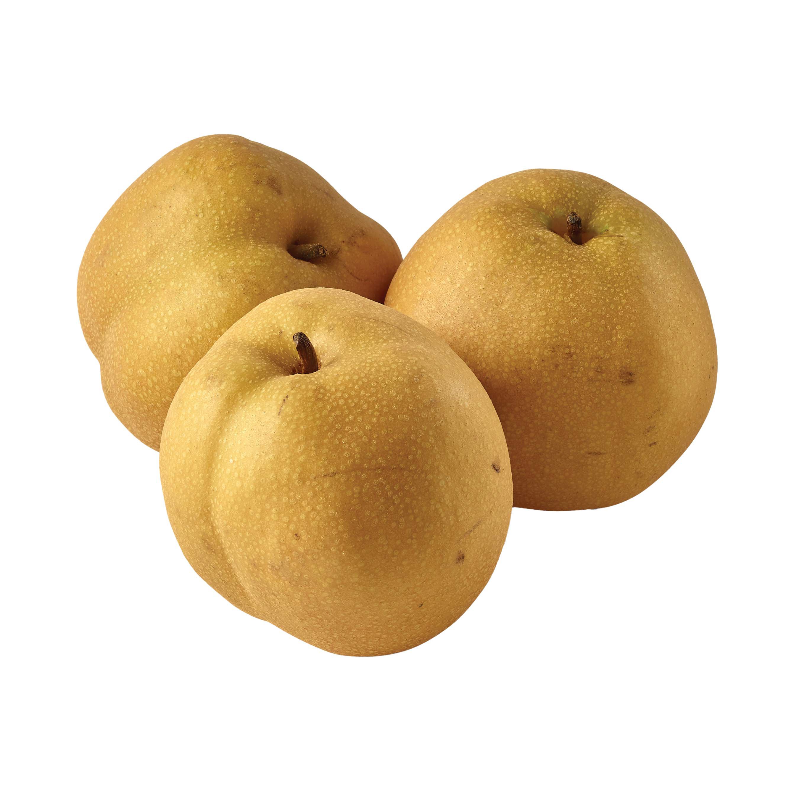 000561 PEAR JAPANESE FRESH