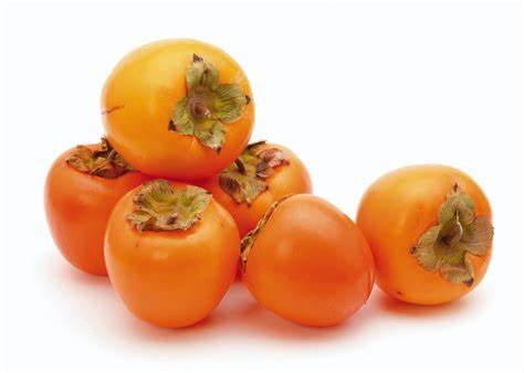 000562 PERSIMMON FRESH