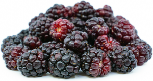 000585 BOYSENBERRY FROZEN