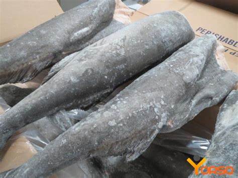 000707 CODFISH HEADLESS FROZEN
