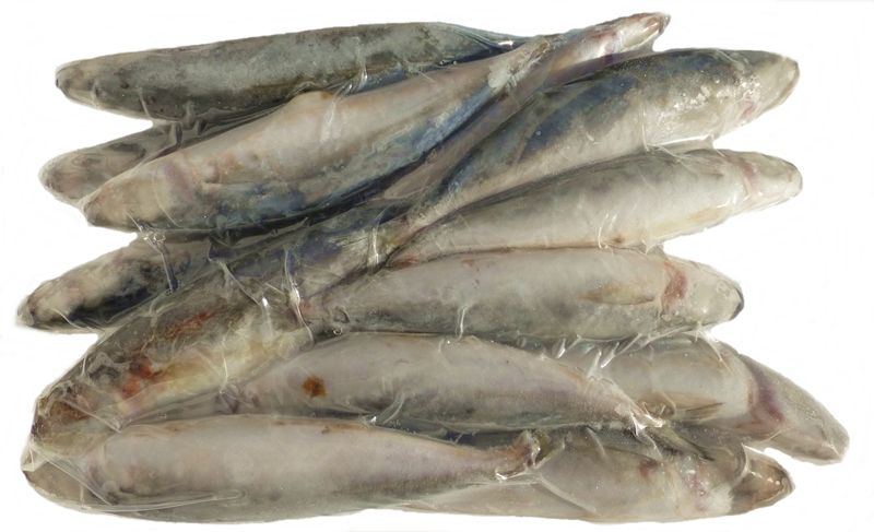 000710 EEL WHOLE FROZEN