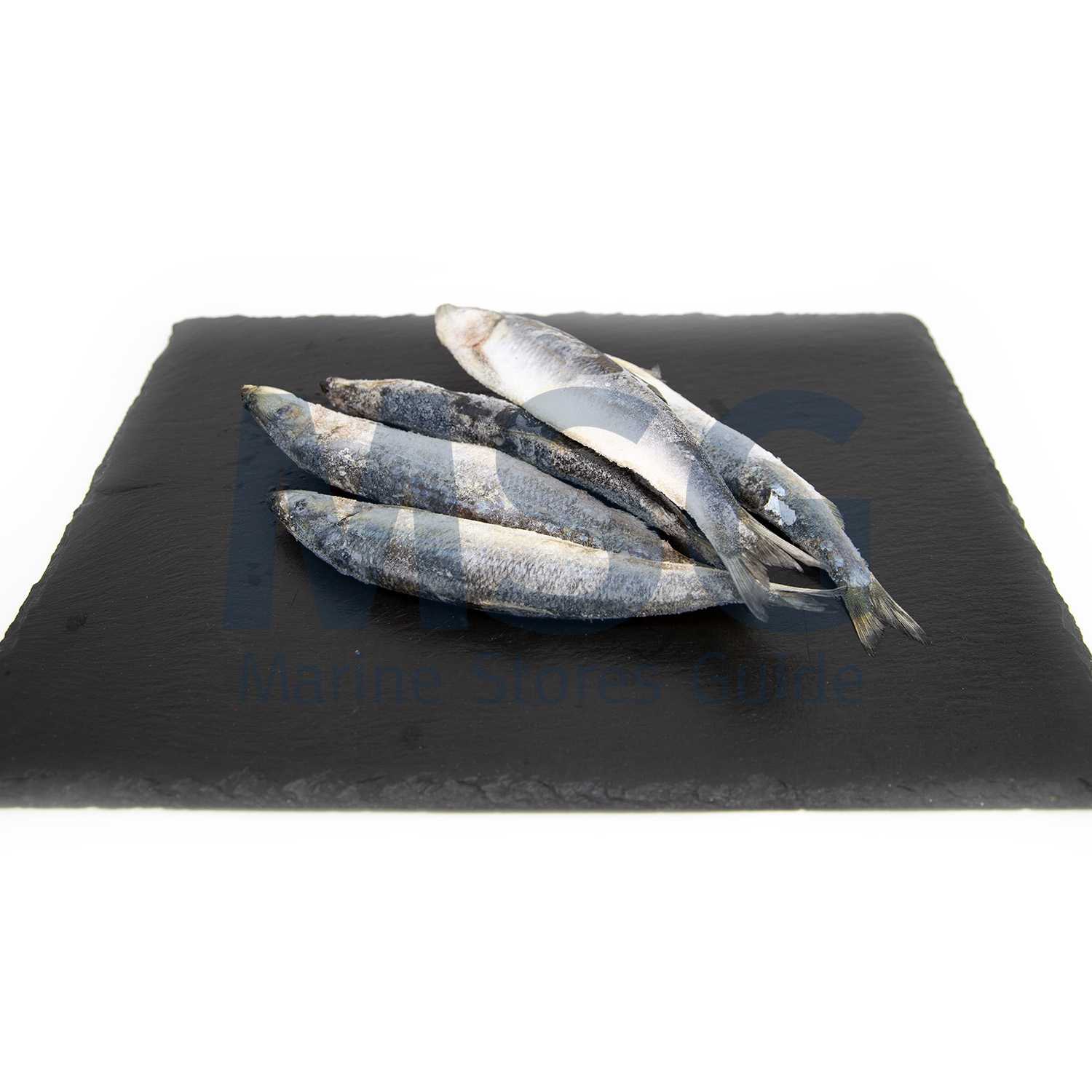 000725 MACKEREL FROZEN