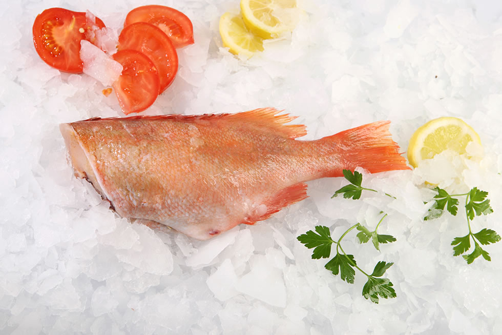 000744 RED FISH (GAROUPA) HEADLESS