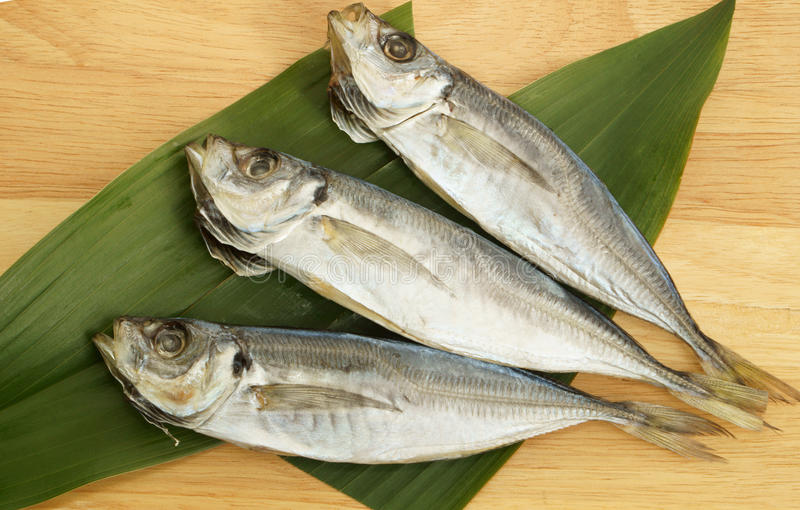 000928 MACKEREL DRIED