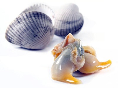 001109 COCKLE (TORIGAI) WO SHELL