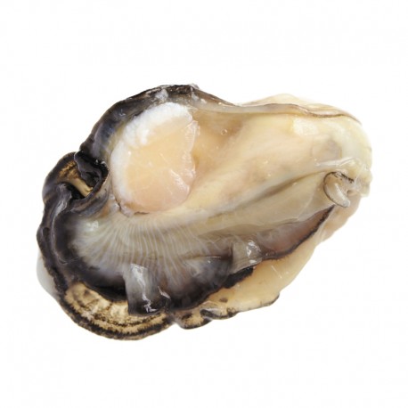 001115 OYSTER WO SHELL FROZEN