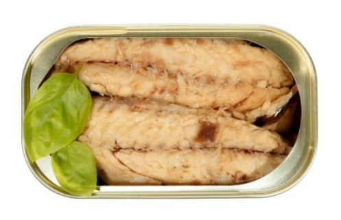 002836 MACKEREL IN OIL