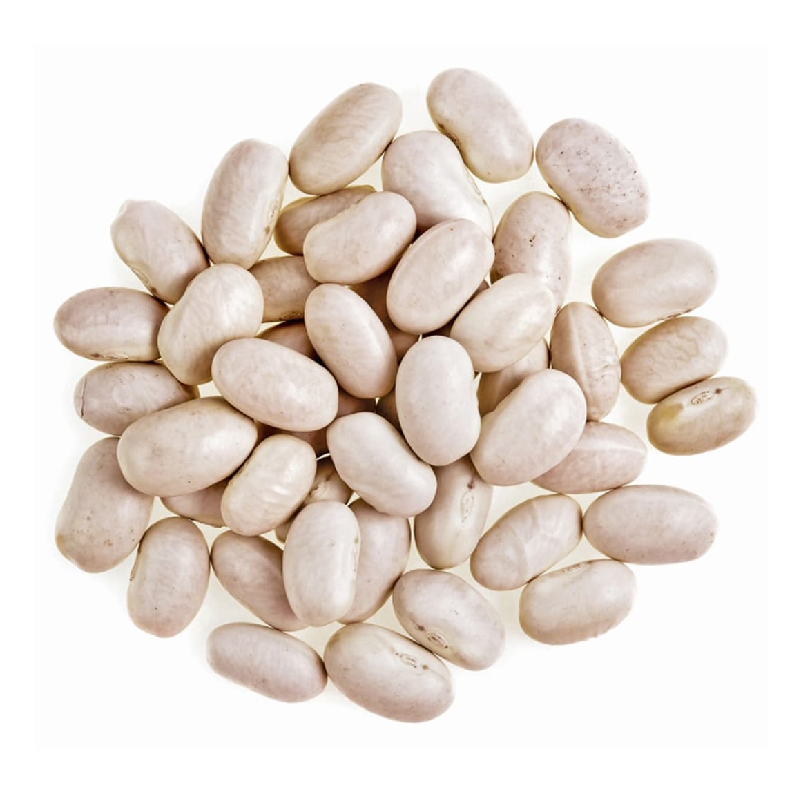 003215 BEANS WHITE LARGE DRY