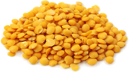003235 DHAL TOOR