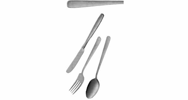 170201 SERVING FORK 18-CR 8-NI STAINLESS STEEL STANDARD GRADE