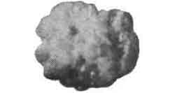 232522 OIL ABSORBENT PELLET IGNEOUS, ROCK NO.2 100LTR (10KG)