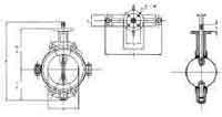 VALVE BUTTERFLY CAST IRON DIN, TEFLON LINED #58 80MM