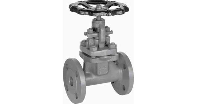 GLOBE VALVE DIN FORGED STEEL, FLANGED PN100 #1202 DN 50