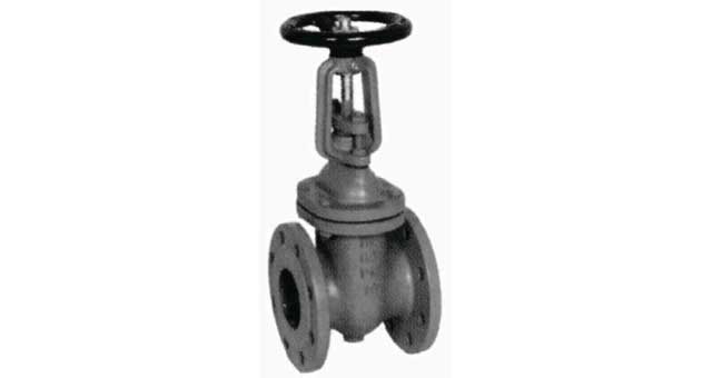 GATE VALVE DIN CAST IRON, FLANGED PN10 #319 65MM