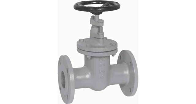 GATE VALVE DIN CAST IRON, FLANGED PN10 #293 65MM
