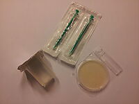 BACTERIA PLATES (20 PCS) thumbnail